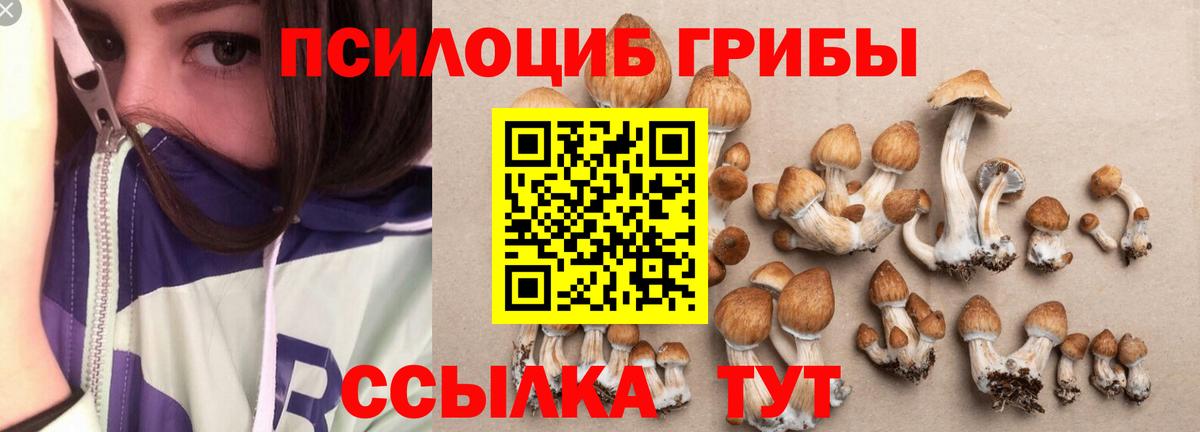 Псилоцибиновые грибы Psilocybine cubensis  Вход с VPN  Грозный 